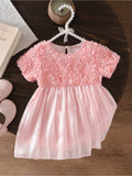 Baby Girl's Summer Pink 3D Rose Short-Sleeved Tulle Dress Princess